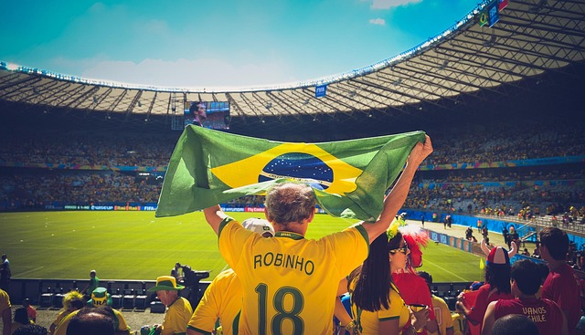 people, brazil flag, soccer, stadium, crowd, audience, sports, flag, game, match, football, cheering, brazil, brazilian, championship, soccer field, world cup, robinho