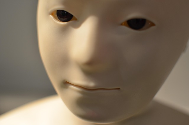 humanoid, robot, face, artificial intelligence, facial expressions, humanoid, robot, robot, robot, robot, robot, artificial intelligence, artificial intelligence, artificial intelligence, artificial intelligence