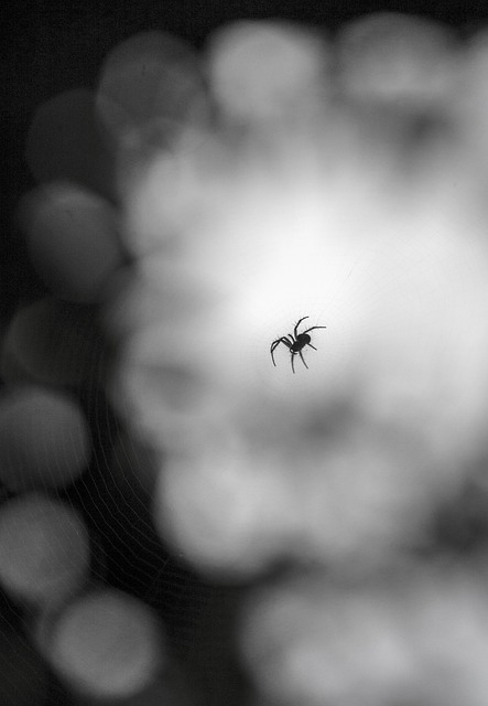 Black Friday 2025: Record-Breaking Ecommerce Sales and Key Insights