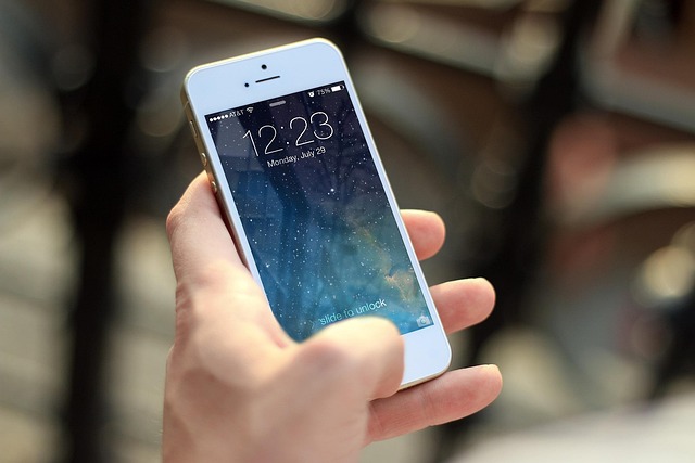 Unified Communications Market: Trends, Growth, and Future Forecasts 2025-2034