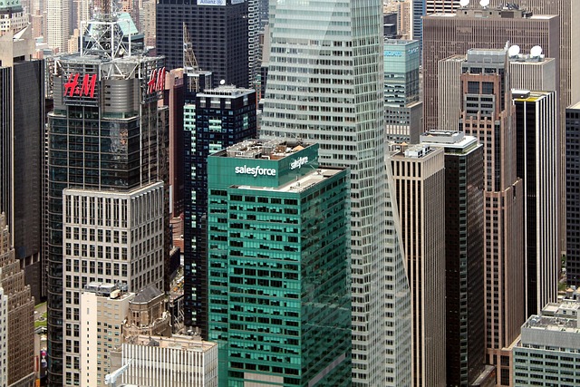 Previous Image