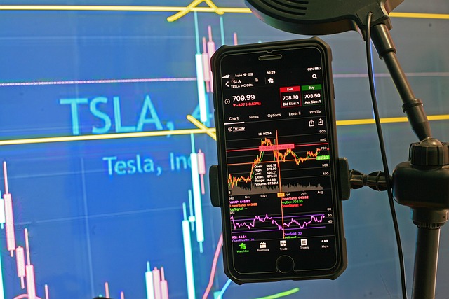 Tesla Partnership