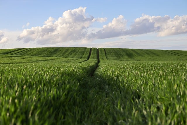 Revolutionizing Agriculture and Rural Development: Insights into Bharat-VISTAAR and SHE Marts