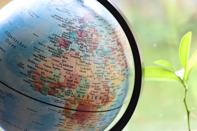 africa, growth, development, plant, world map, light, boom, business, nature, stock exchange, globe, map of the world, world, continent, earth, geography, map, europe, world market